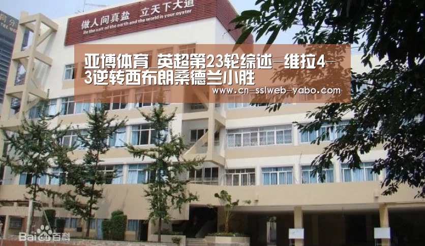 亚博体育_英超第23轮综述-维拉4-3逆转西布朗桑德兰小胜(图4) 亚博APP